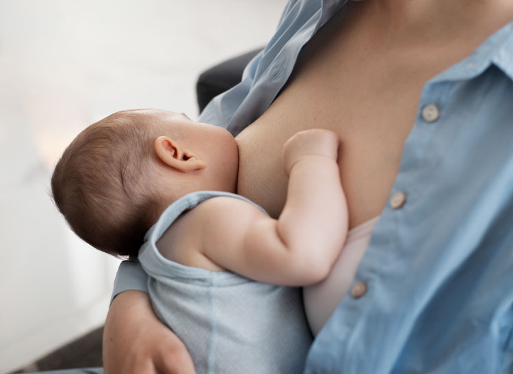 El tamaño de los senos influye en la producción de leche